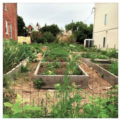 Lead in Urban Soil